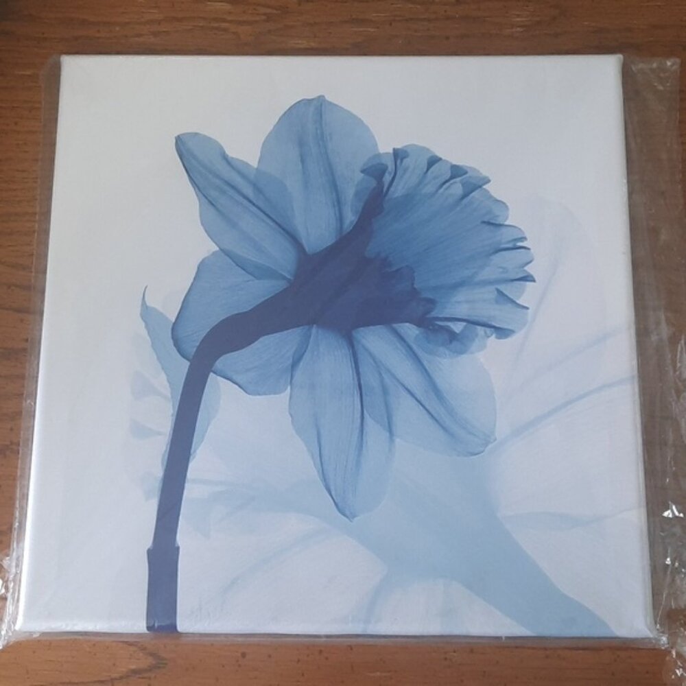 Daffodil on canvas artwork 12 x 12